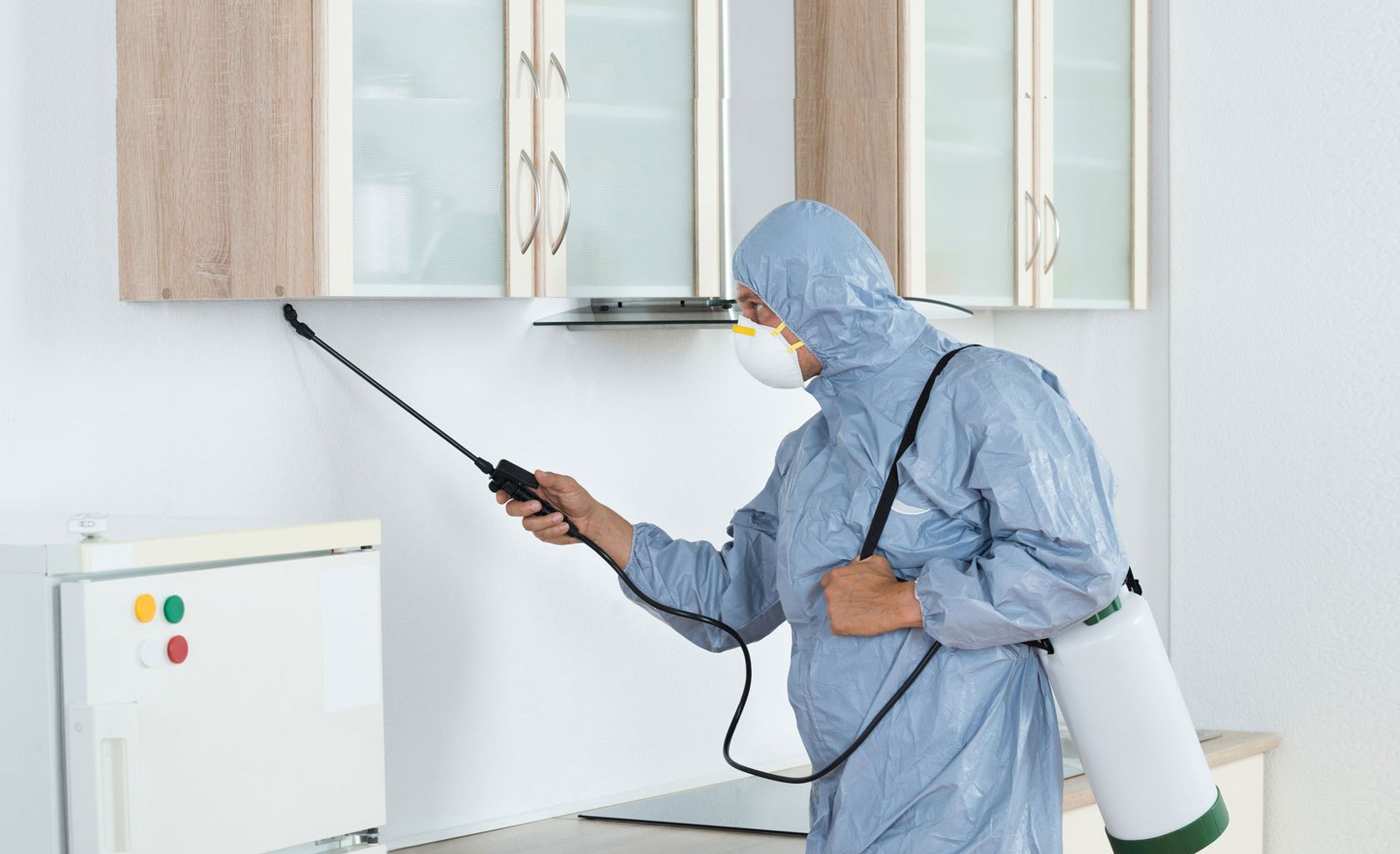 Pest Control Services: Keeping Your Family Safe and Healthy