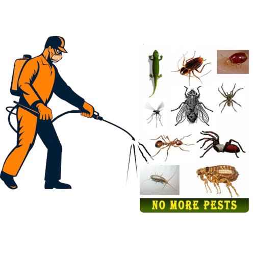 Sydney's Top Choice for Commercial Pest Control Services